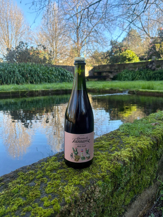 Silver Medal for Pet Nat Rosé 2022 at World of Rosé Competition